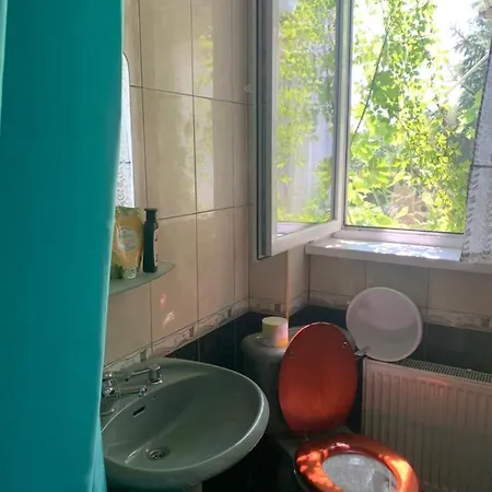 Guest house гостьовий будинок 