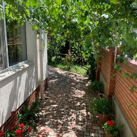 Guest house гостьовий будинок 