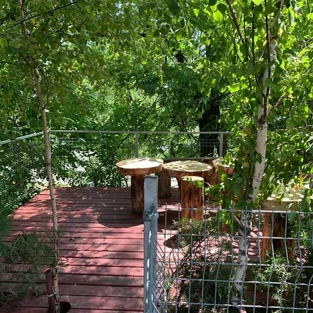 Guest house гостьовий будинок 